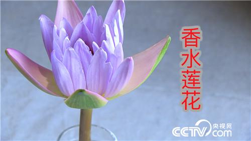 [¸(jng)]Ǻñ (chung)I(y)ţ 20180801 